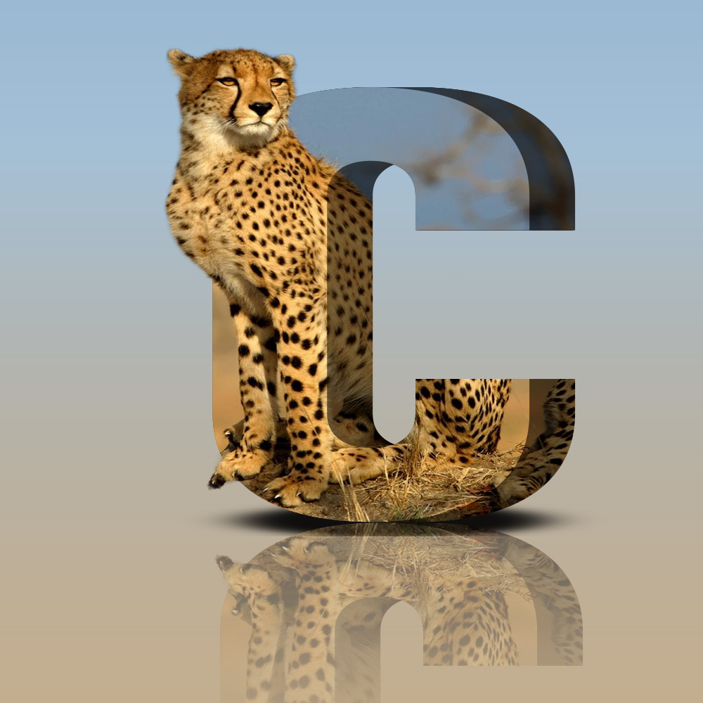3D poster design